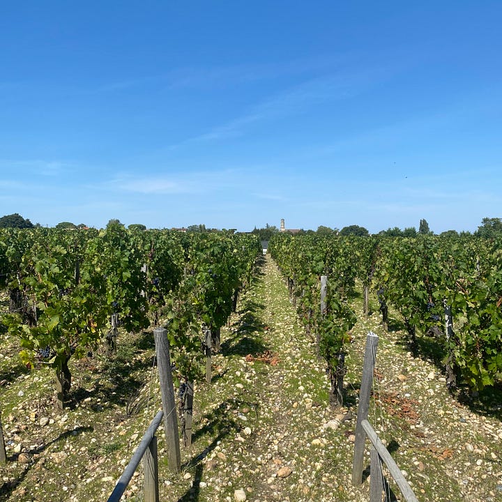 Vineyards in Burgundy and Bordeaux