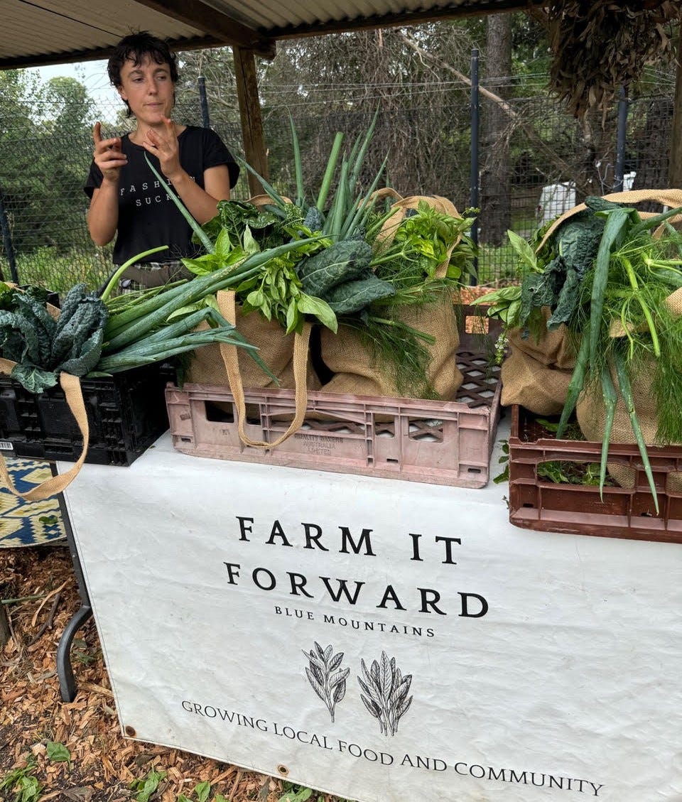 farm it forward produce for sale at katoomba high school
