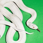 REVIEW: Deftones - private music