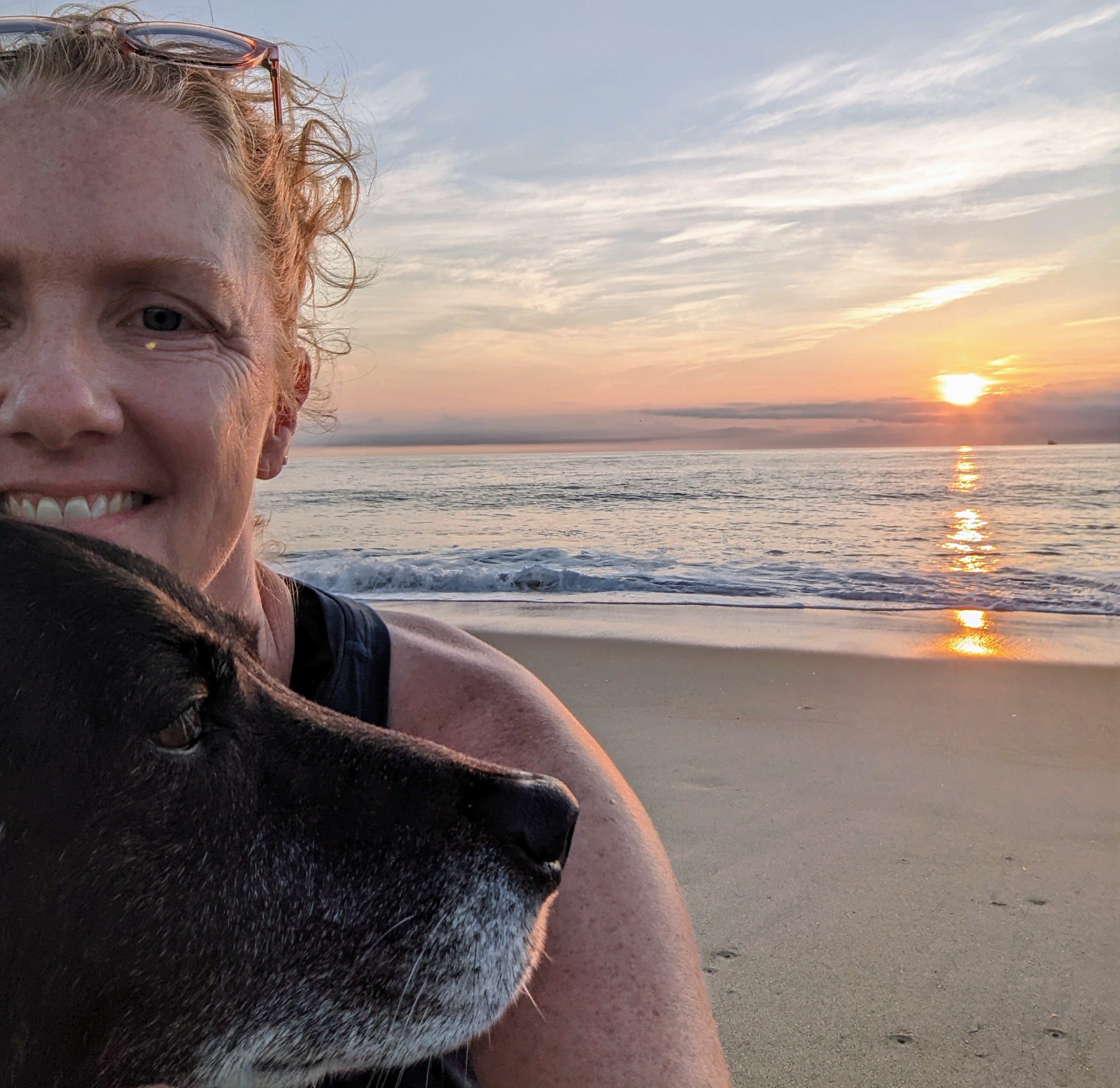 Artwork for Erica’s Substack