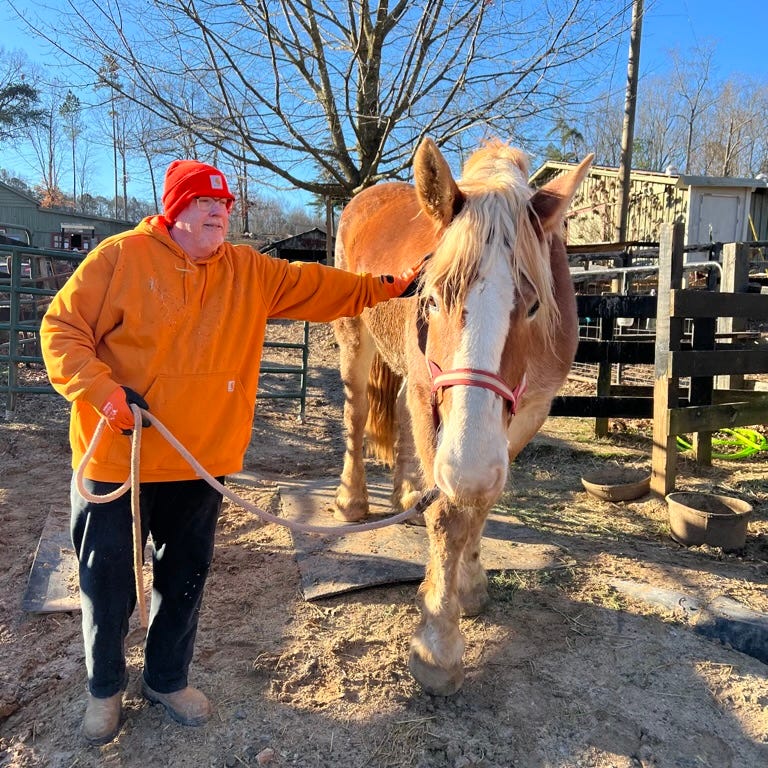 Now ... What's Next?