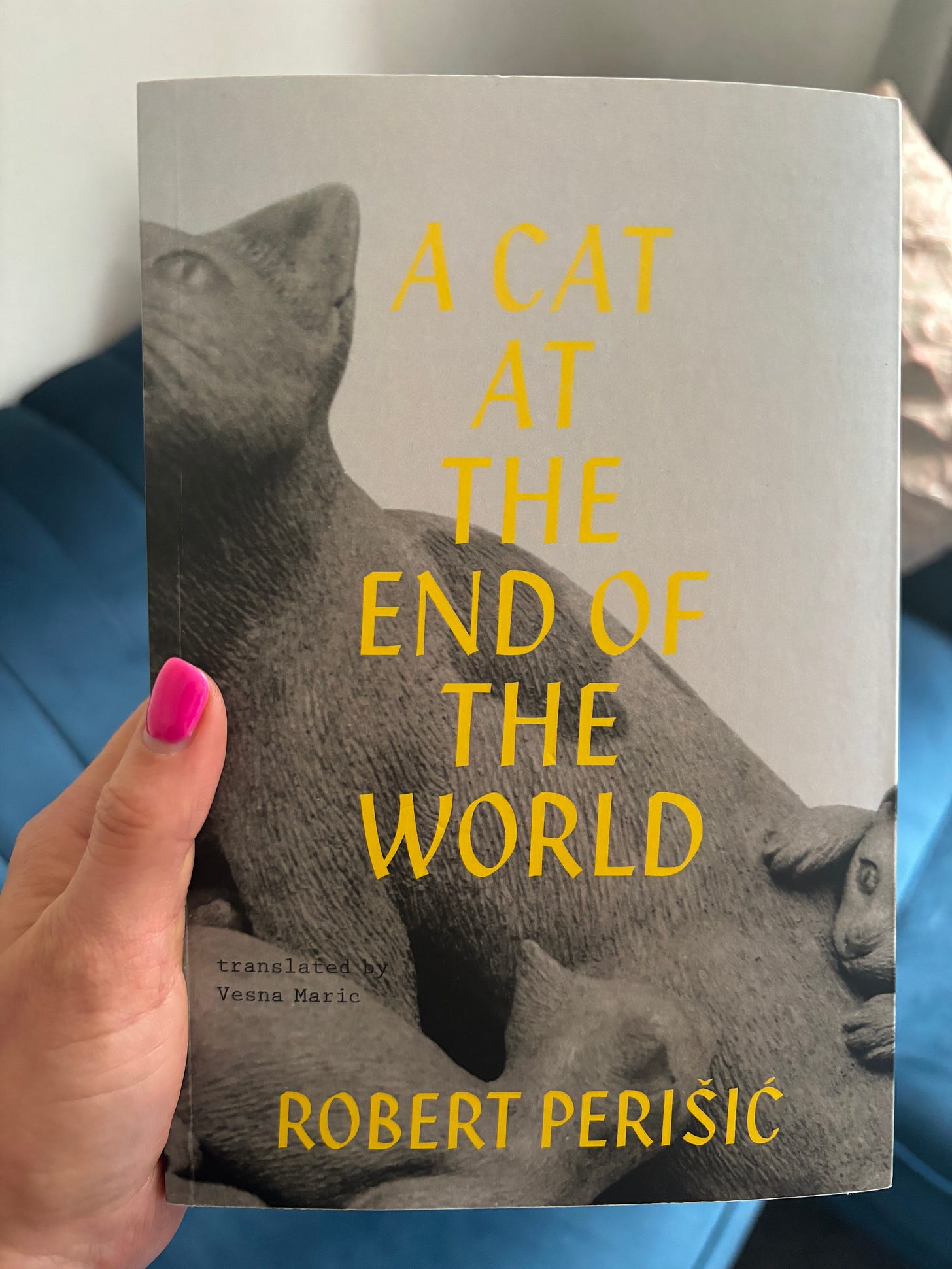 A hand holding the book A Cat At The End of The World, by Robert Perisic