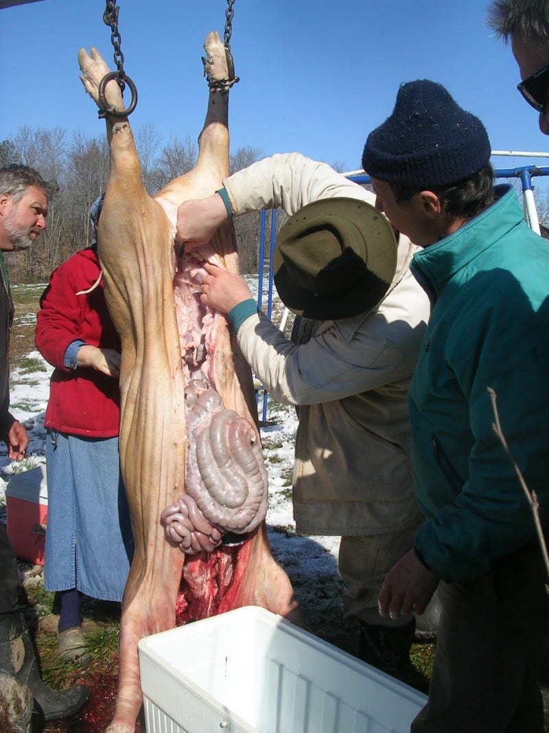 Butchering Your Own Farm-Raised Pig in 7 Simple Steps