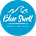 Blue Swell STR Market Performance Reports