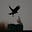 Owl🦉's avatar