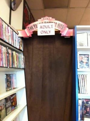 The forbidden room at the back of the video store : r/GenX
