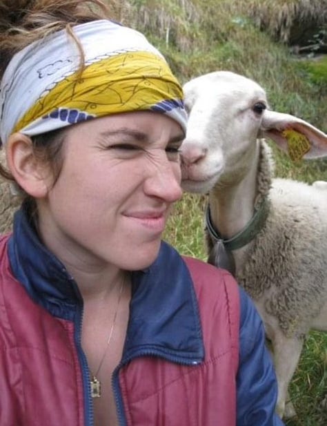 Selfies of Connie with sheep, cow, and goats.