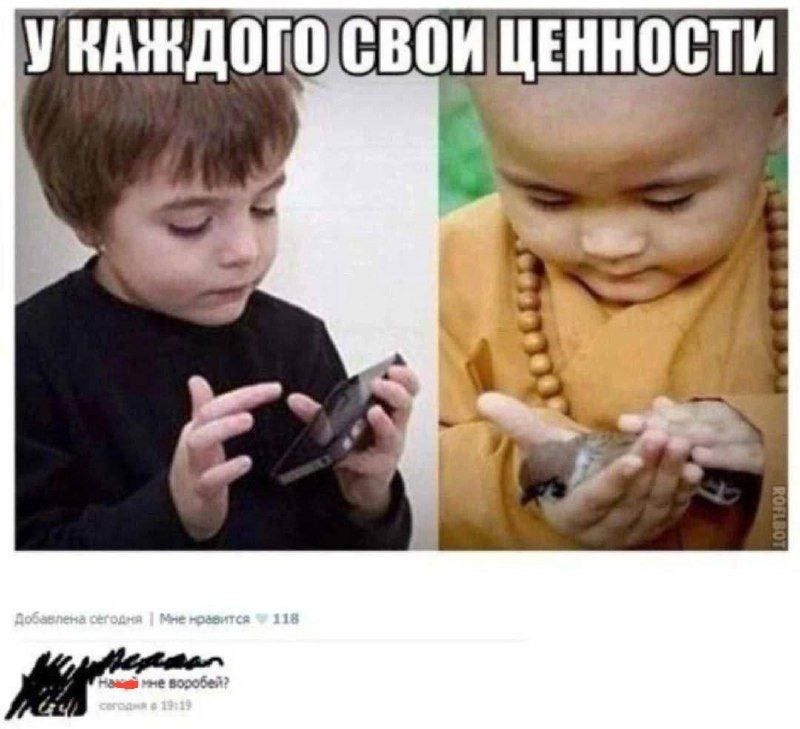Скоро дети Австралии узнают, зачем им воробей Скоро дети Австралии узнают, зачем им воробей