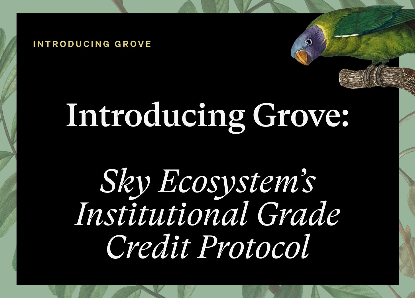 Introducing Grove - Steakhouse Financial Insights