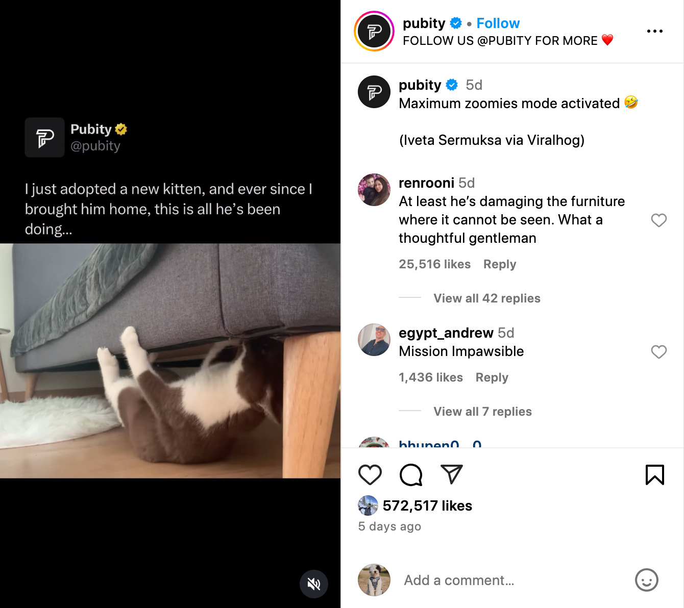 screenshot of pubity reel of kitten running under couch