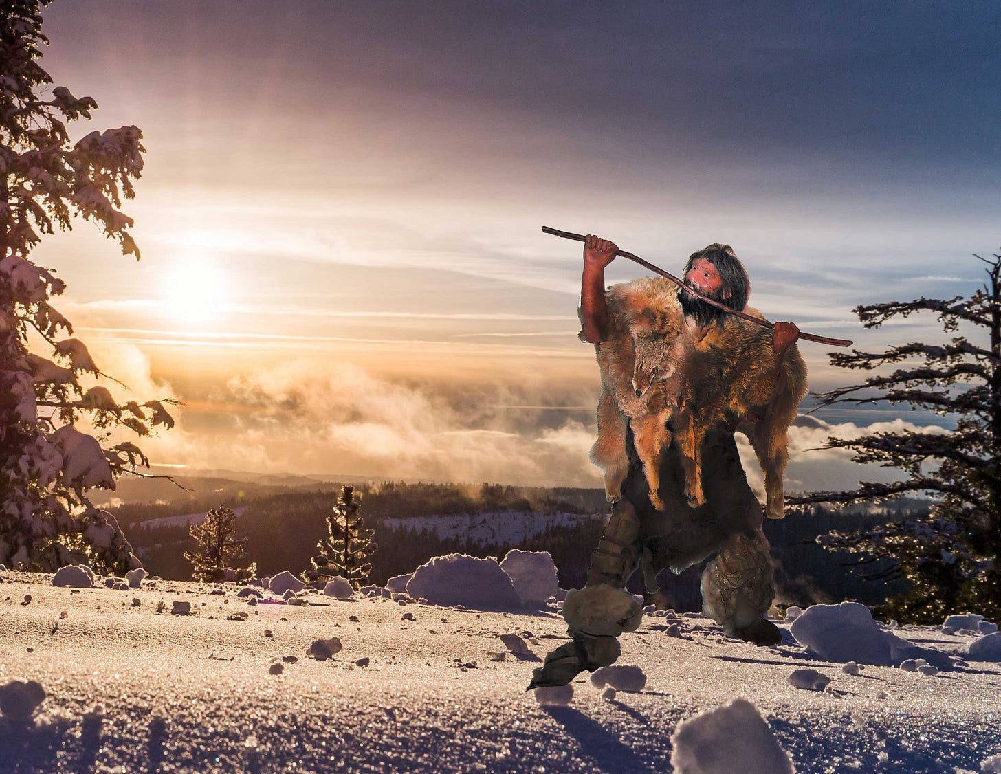 A Neandertal-looking person dressed in animal skins lifting a stick and looking at a misty sunrise on snow. 