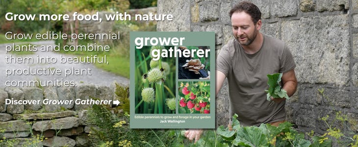 Discover Grower Gatherer the book by Jack Wallington
