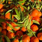 Winter isn’t the season to push