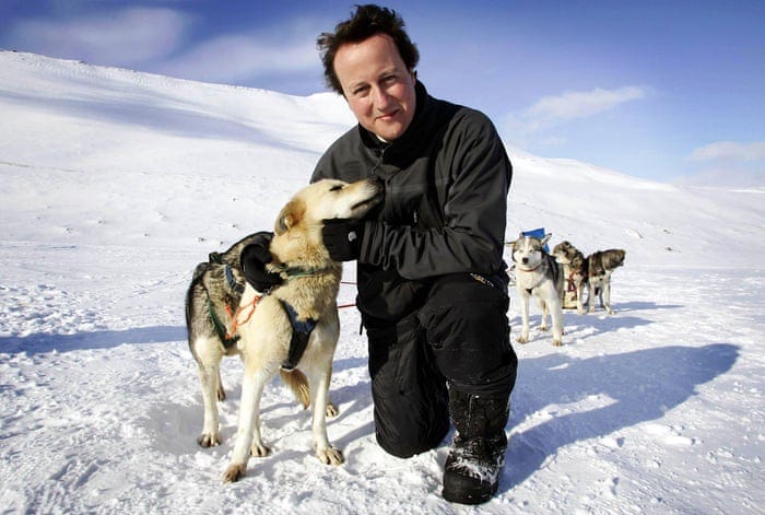Ten years after 'hug a husky', what is David Cameron's green legacy? |  Environment | The Guardian