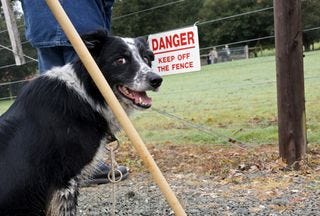 Danger sign Danger sign