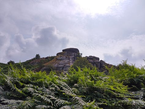 landscape photos from Devon