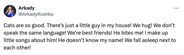 a tweet that reads: "Cats are so good. There's just a little guy who lives in my house. We don't speak the same language! We're best friends! He bites me! I make up little songs about him! He doesn't know my name! We fall asleep next to each other!"