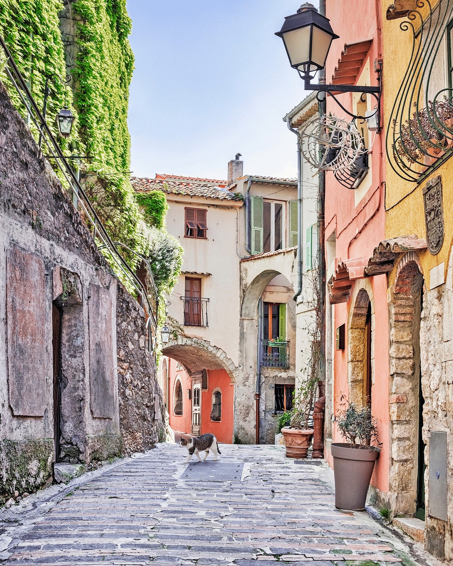 May be an image of Camogli and Piazza di Spagna