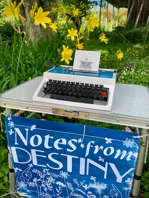 A blue typewriter sits on a small table in a garden filled with yellow lilies