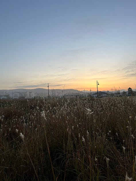 Gallery of nine sunrise photos