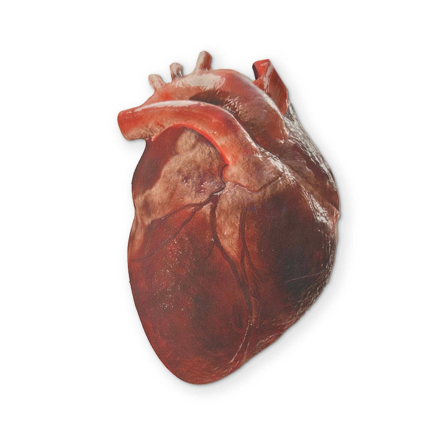 AN ANATOMICAL HEART YOU CAN CLEAN YOUR GLASSES WITH AN ANATOMICAL HEART YOU CAN CLEAN YOUR GLASSES WITH