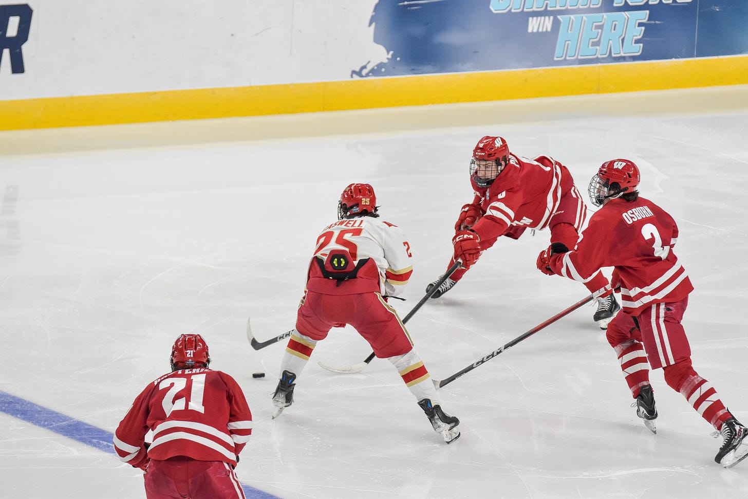 Wisconsin Badger defenseman Jack Phelan making a great poke check with stick out front to stop Denver's Clark Caswell