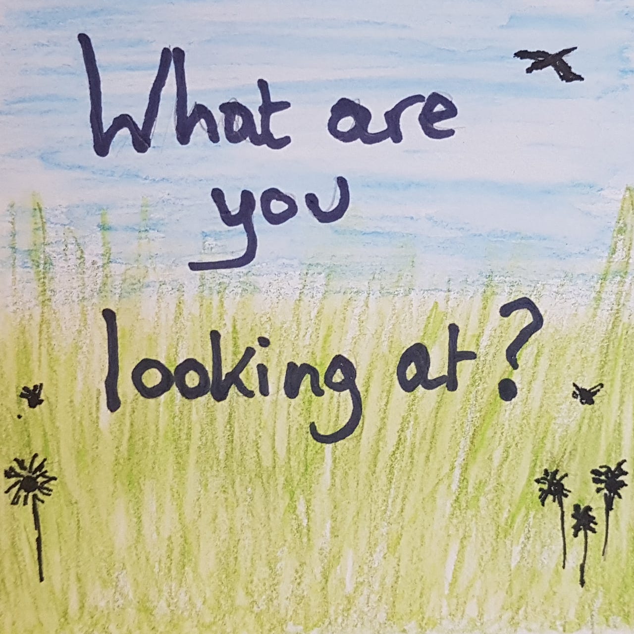 What are you looking at?