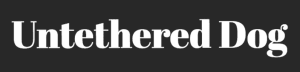 Untethered Dog