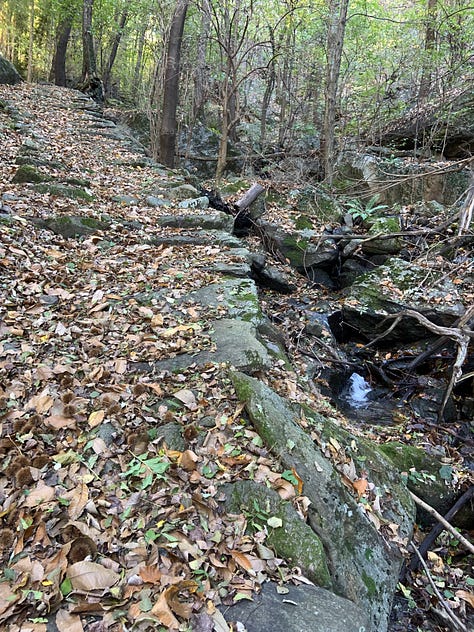 Autumn Walks In The Forests And In The Mountains: The Perfect Escape From City Life