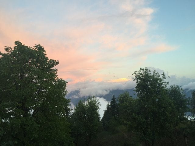 The sky turns from pink to blue with trees growing from underneath.