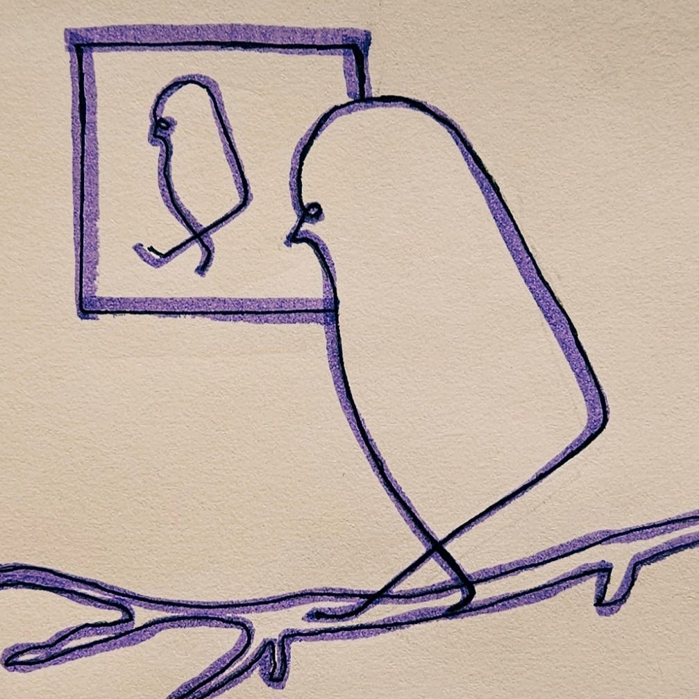Still Sparrow