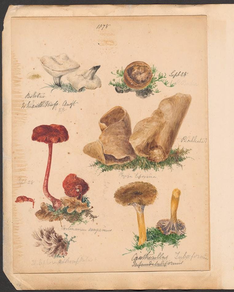 Book page image