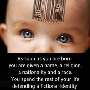 Born Trapped Born Trapped