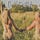 Ournaturistlife.com