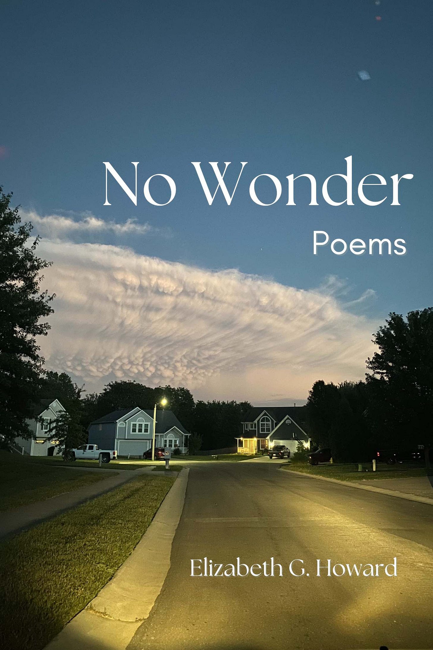 No Wonder: Poems book by Elizabeth G Howard