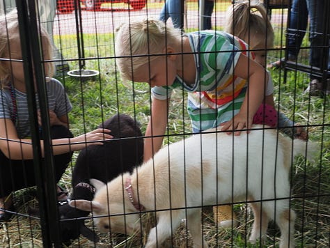 158th Children's Fair