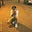Rahil Shah's avatar