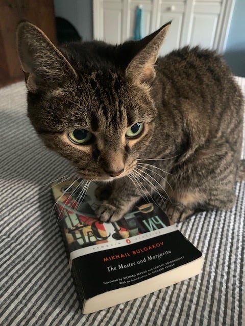 A grey tabby cat sits on The Master and Margerita