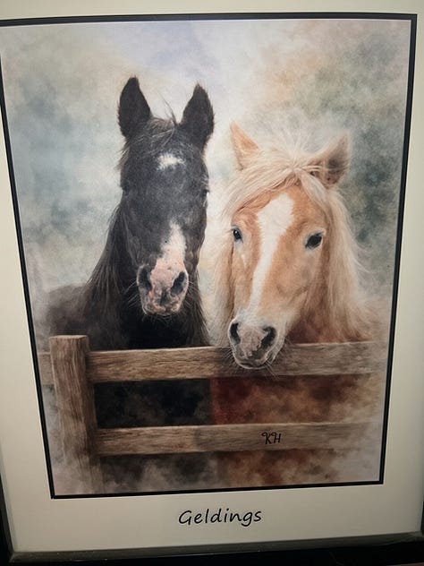 Paintings of horses by Krystal Hindman