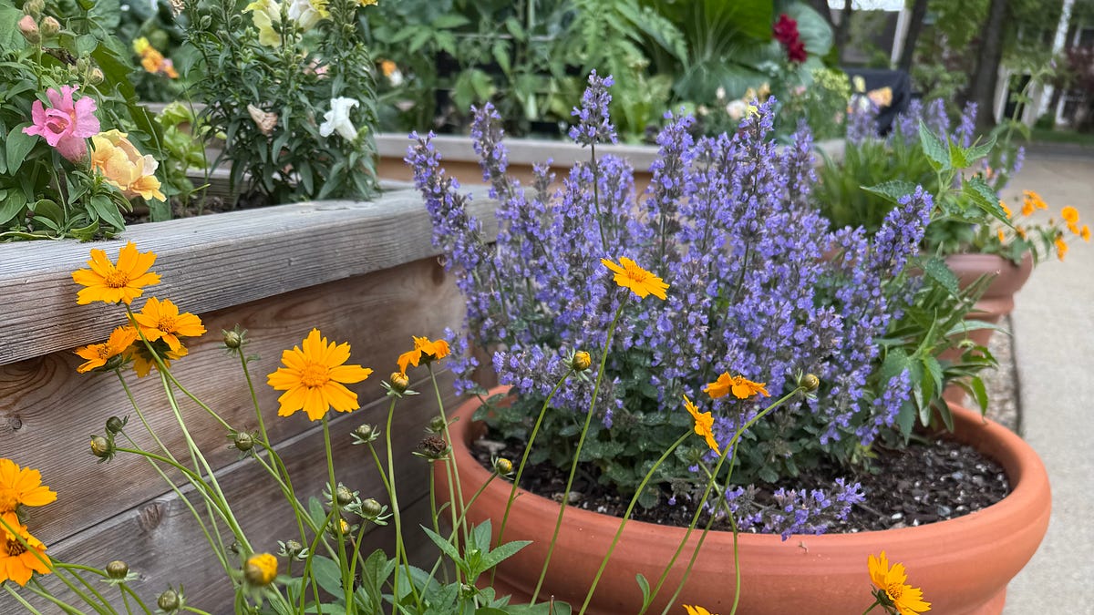 Slow Doesn’t Mean You’re Doing It Wrong