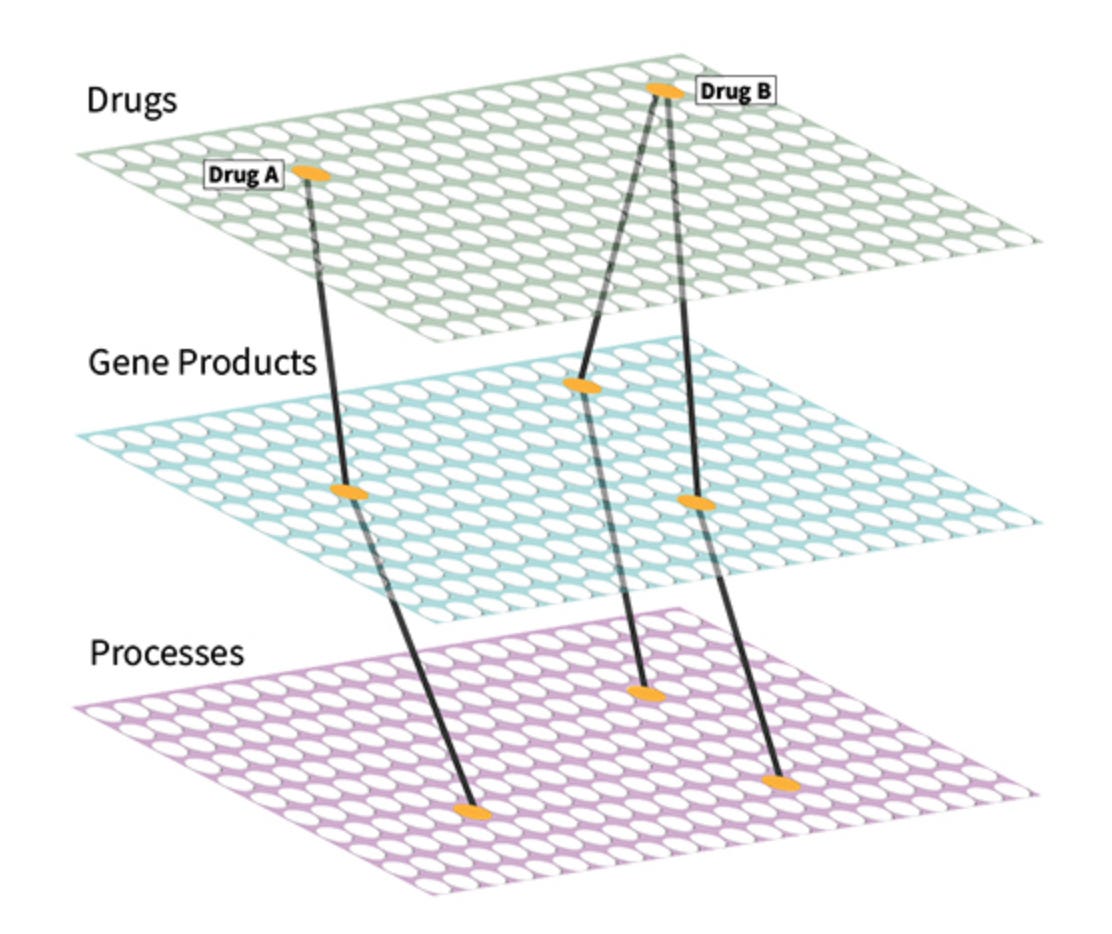 Screenshot 2025-06-28 at 10.02.24 AM.png