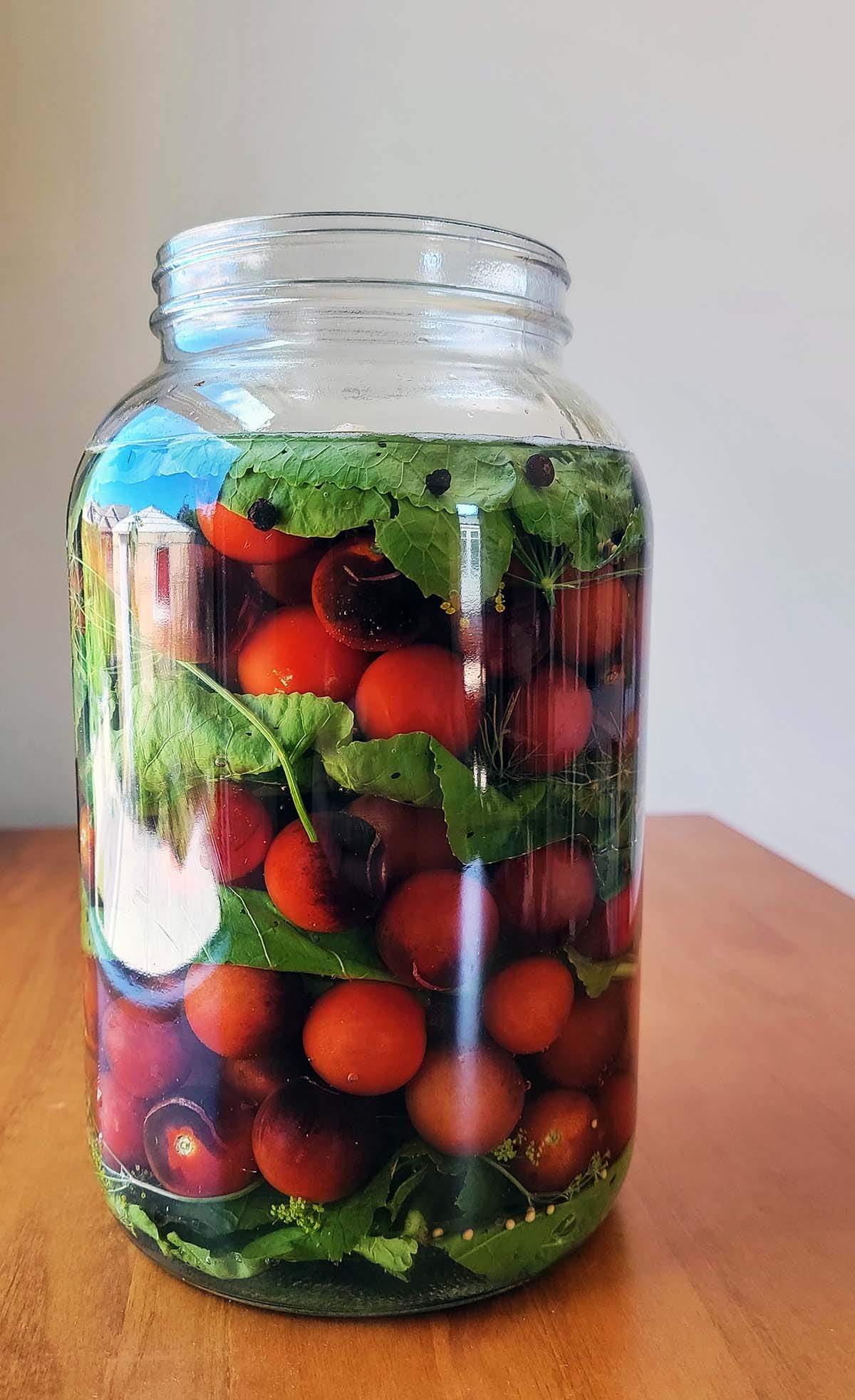 Fermented cherry tomatoes in a jar. 