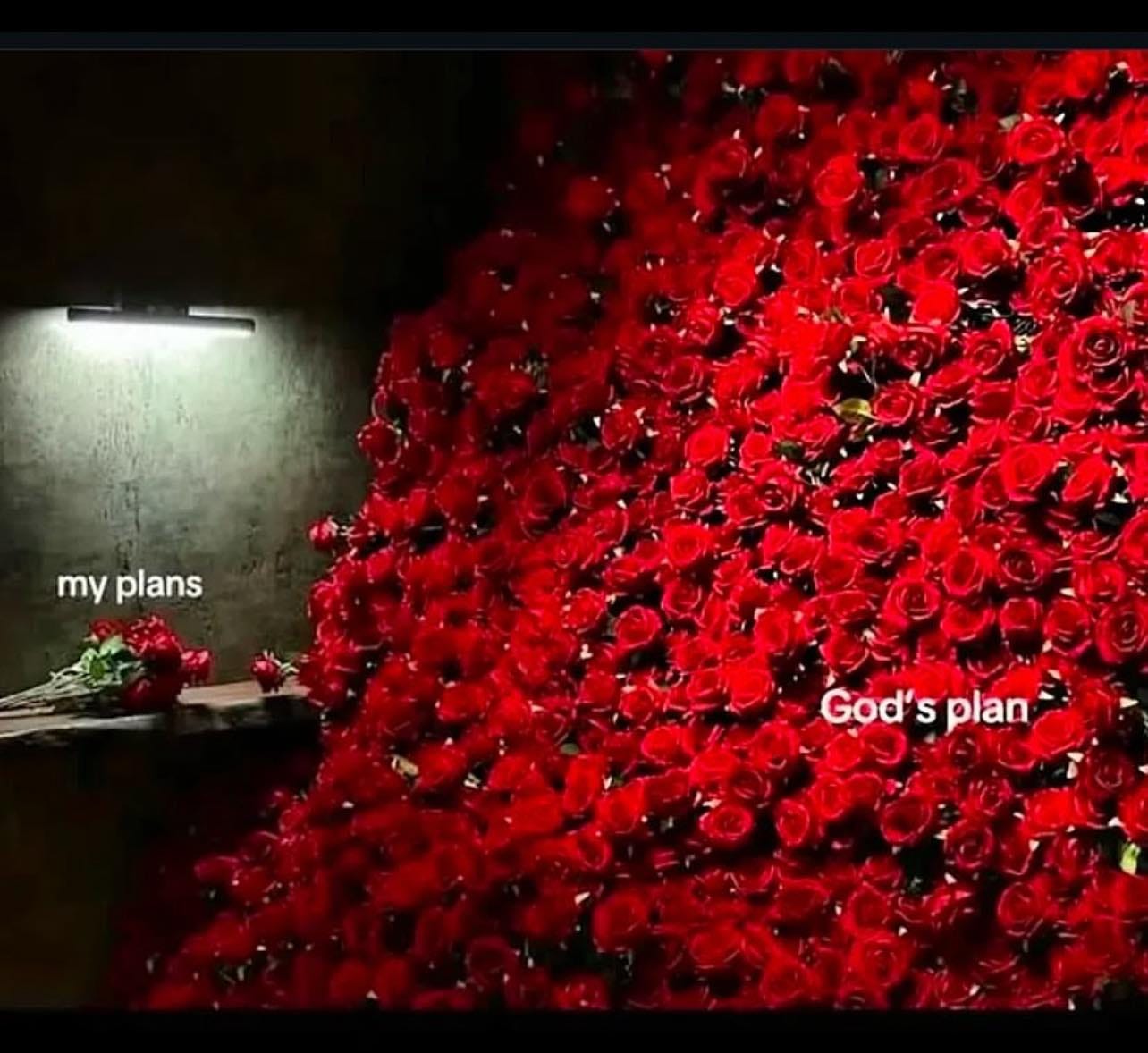 No photo description available.