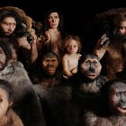 Human evolution didn't slow down. It accelerated!