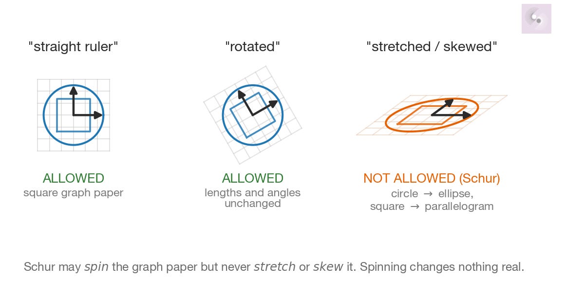Three frames: a square grid with perpendicular axes (allowed), the same grid rotated 30° (allowed), and a stretched-and-skewed grid where the circle becomes an ellipse (not allowed).