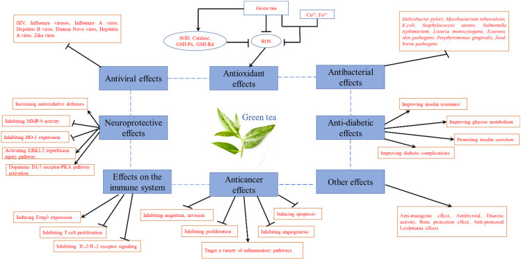 An external file that holds a picture, illustration, etc.
Object name is molecules-27-03909-g009.jpg An external file that holds a picture, illustration, etc.
Object name is molecules-27-03909-g009.jpg