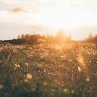 This Week's Reads: All Superheroes Need PR by Elizabeth Stephens and Love Is a War Song by Danica Nava (Pre-Order)