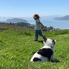 Marin to be Hit Least-Hard by Whatever Happening in World, Experts Say