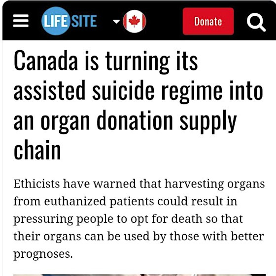 canadaorganharvest.jpg