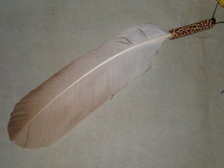 Mature_White_Eagle_Feather_by_SkyeTrinity